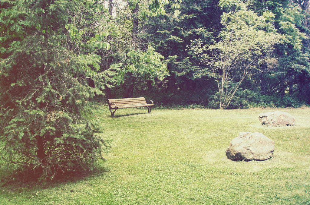 Bradford Woods Reserve Allegheny Land Trust