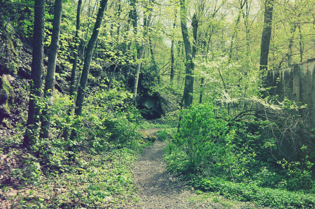 Dead Man's Hollow Allegheny Land Trust