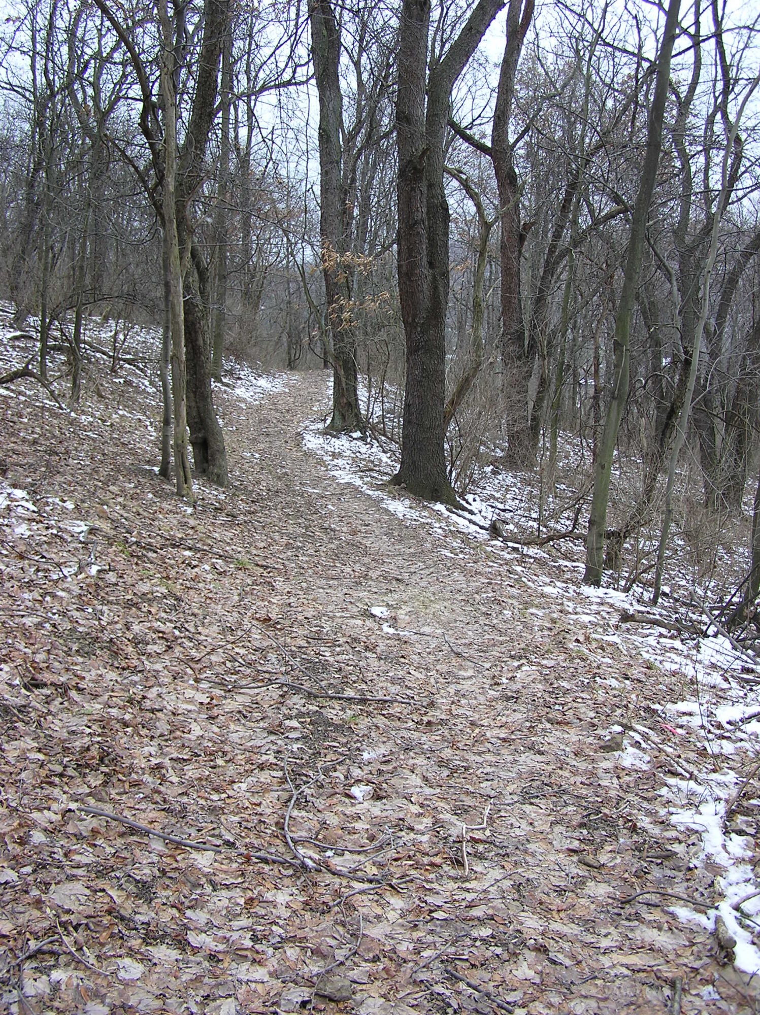 Venango Trail Allegheny Land Trust