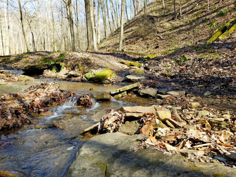 Devil's Hollow Allegheny Land Trust