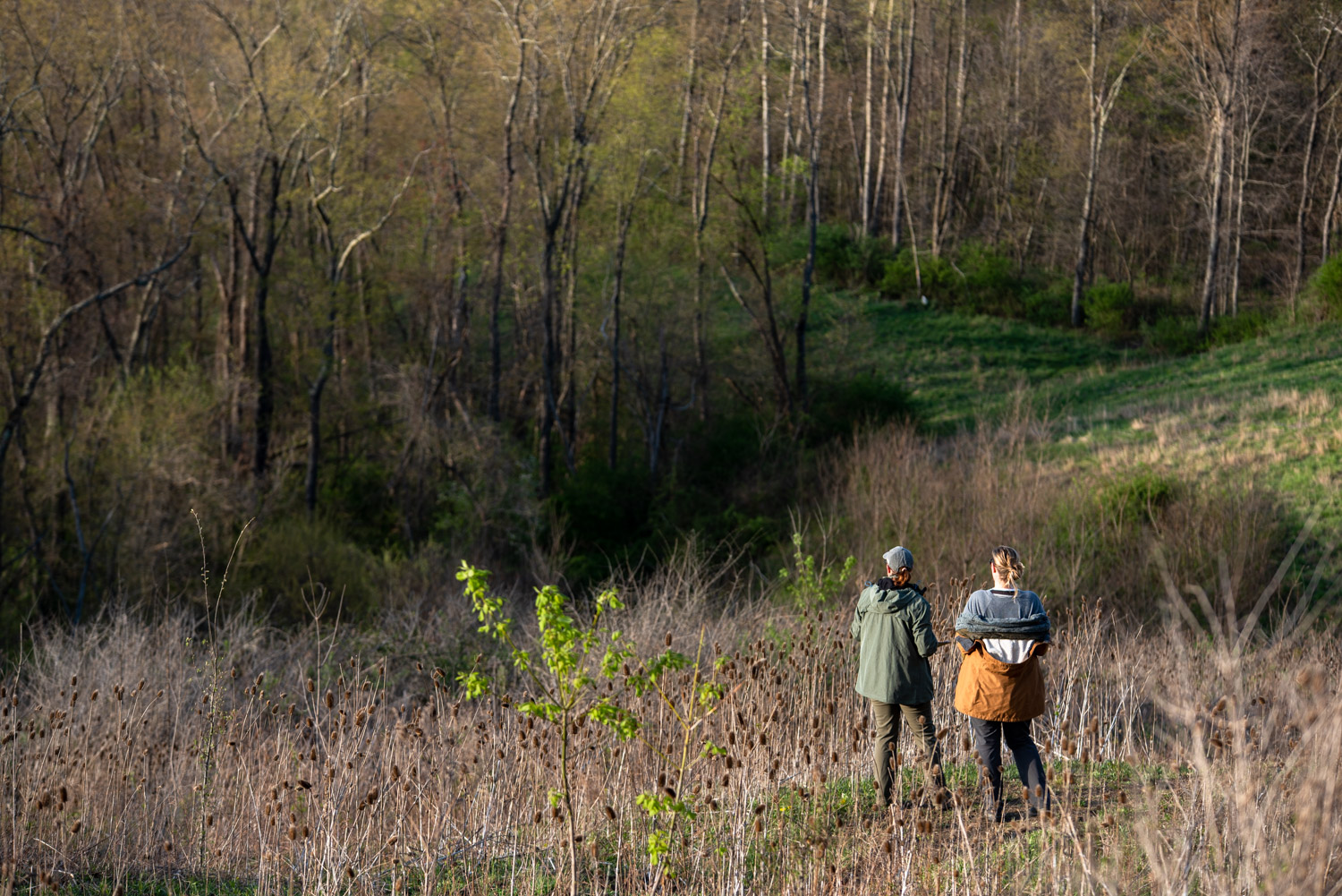 Two people standing on a grassy hillside in Spring at the Panhandle Greenway conservation project overlooking a scenic, wooded vista.